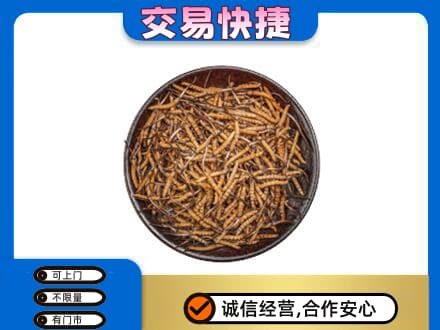 阳泉市高价回收散虫草